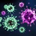 Exploring the Factors that Can Impact Your Immune System