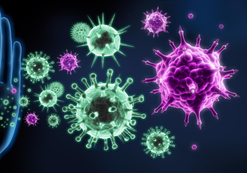 Exploring the Factors that Can Impact Your Immune System